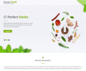 Sunny-earth.com